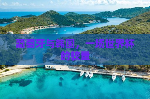葡萄牙与韩国，一场世界杯的较量
