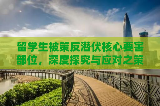 留学生被策反潜伏核心要害部位，深度探究与应对之策